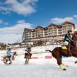 BUKOVINA POLO SNOW MASTERS